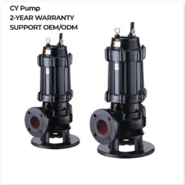 Choosing the Right Sewage Ejector Pump